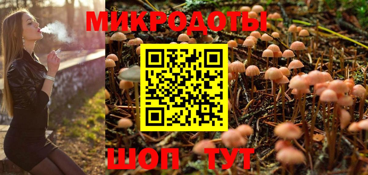 Петрозаводск  наркота  Вход с VPN  Галлюциногенные грибы мухоморы 